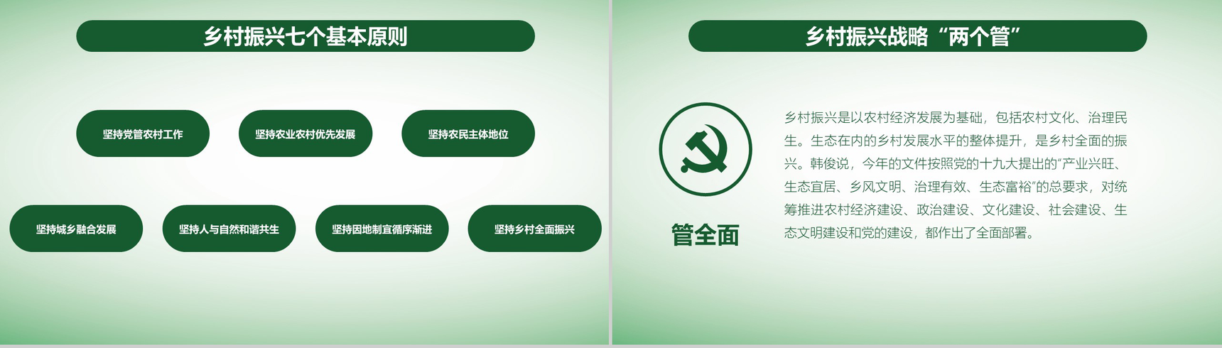 简洁简约全面实施乡村振兴战略工作汇报PPT模板-5