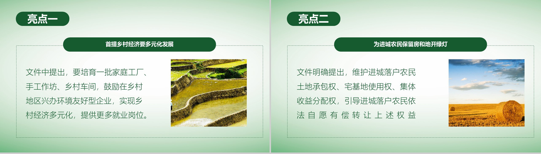 简洁简约全面实施乡村振兴战略工作汇报PPT模板-7