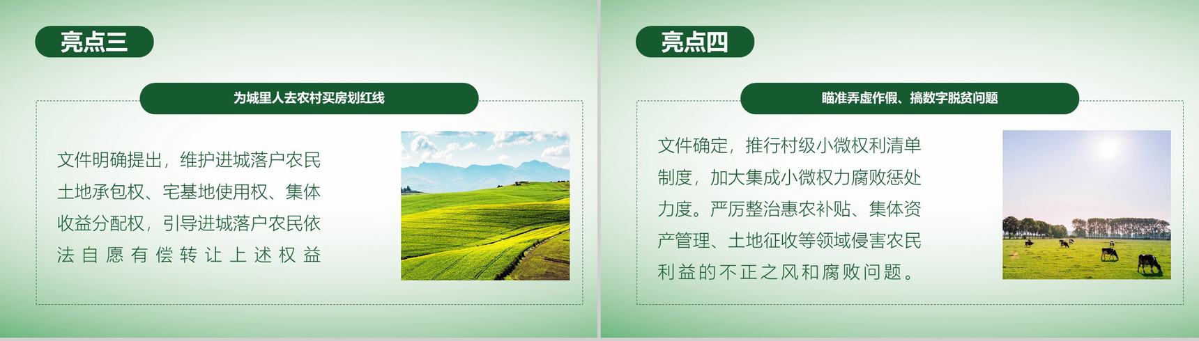 简洁简约全面实施乡村振兴战略工作汇报PPT模板-8
