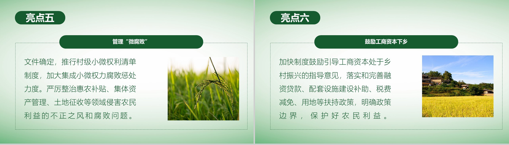 简洁简约全面实施乡村振兴战略工作汇报PPT模板-9